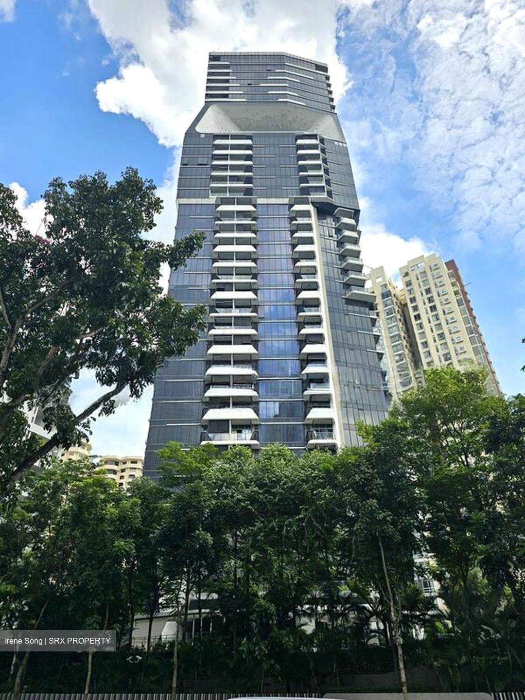 The Scotts Tower (D9), Condominium #509993671